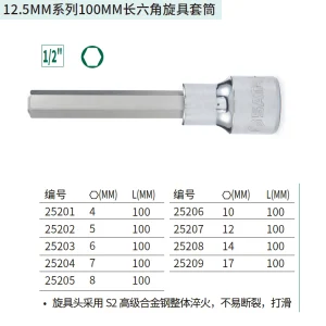 12.5MM系列100MM长六角旋具套筒10MM ; 25206