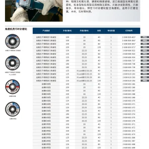 专业级金属打磨千页片 100mm40目;2608838403