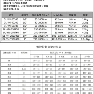 预置扭力扳手1/2寸20-100Nm(银)(把;DL-YN-20100
