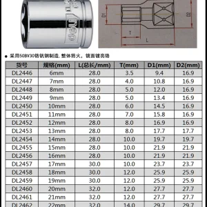 10mm系列六角套筒6mm(银)(支)(售完取消);DL2446
