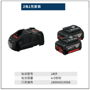 Starterkit 2x18V4.0Ah+GAL1880两电一充套装;1600A01MG6