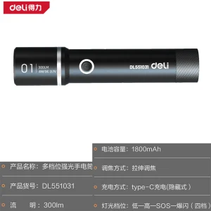 居家手电筒300lm1800mAh(黑)(个);DL551031