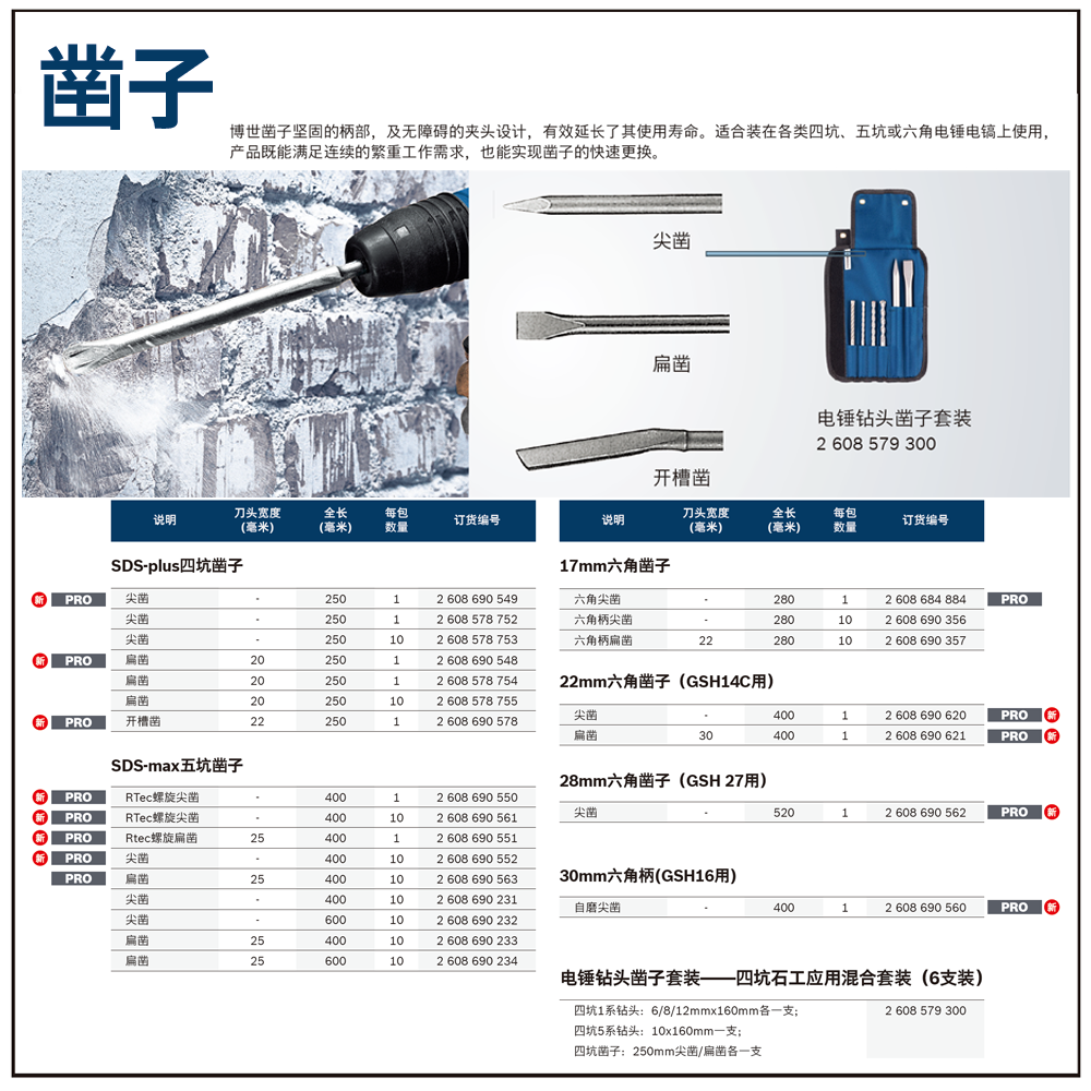 [2608690548] 专业级四坑5系扁凿 20x250mm